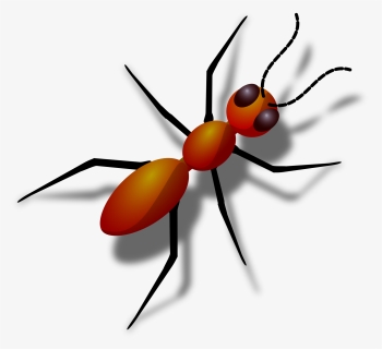 Digital Art Ant Svg Clip Arts - Transparent Background Ant Clipart, HD Png Download, Transparent PNG