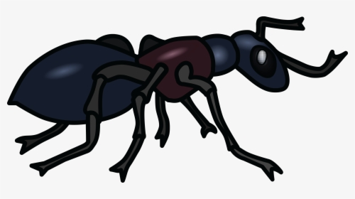 Transparent Ant Clipart - Ant Black And White, HD Png Download, Transparent PNG