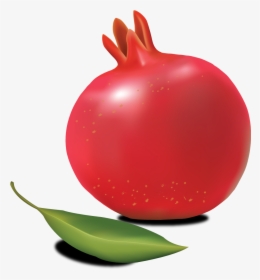 Download Image Of Pomegranate, HD Png Download, Transparent PNG