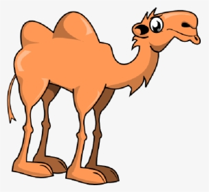 Cute Camel Clipart Funny Pictures - Camel Clipart, HD Png Download, Transparent PNG