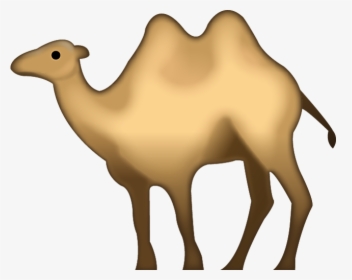 Transparent Camel Png - Camel Emoji Png, Png Download, Transparent PNG
