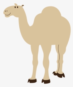 Colorful Animal Camel Geometry 555px - Camel Picture No Background, HD Png Download, Transparent PNG