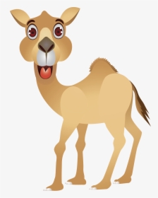 Camel Cartoon Humour Clip Art - Cartoon Camel Images Free, HD Png Download, Transparent PNG