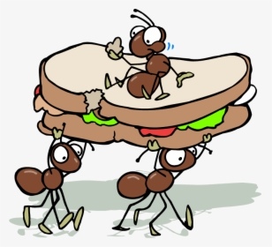 Clip Art Cartoon Ants - Clipart Transparent Background Picnic, HD Png Download, Transparent PNG