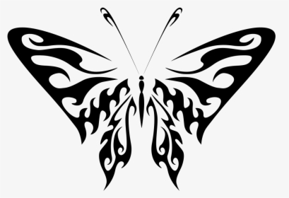 Butterfly Line Art - Clipart Black Drawing Butterfly Egg, HD Png Download, Transparent PNG