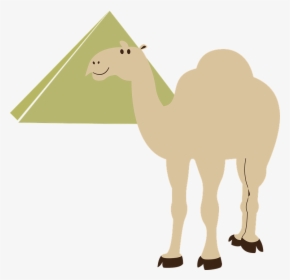 With Pyramid Clip Art - Camel In Pyramids Vector, HD Png Download, Transparent PNG
