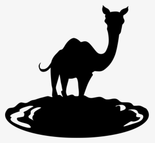 Latest Camel Journey Transparent & Png Clipart Free - Portable Network Graphics, Png Download, Transparent PNG