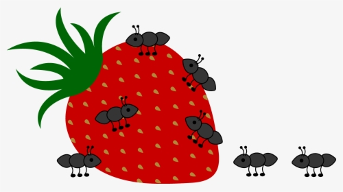 Cute Cartoon Ant - Ants On Food Clipart, HD Png Download, Transparent PNG