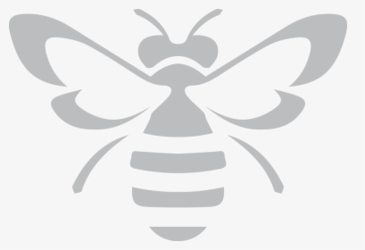 Insect,wing,membrane Winged Insect,black And White,design,clip - Black White Bee Png, Transparent Png, Transparent PNG