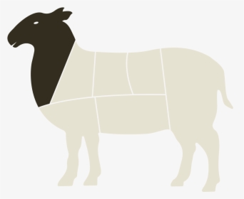 Sheep Horse Cattle Mammal Camel - Horse, HD Png Download, Transparent PNG