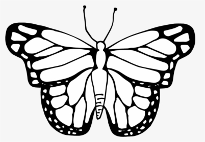 Butterfly Clipart Coloring Worksheets Transparent Png - Clipart Image Of A Butterfly, Png Download, Transparent PNG