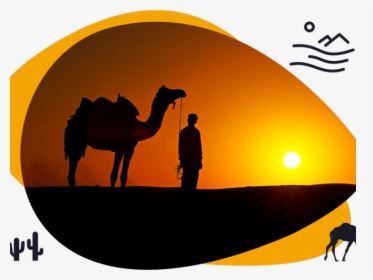 Transparent Camels Clipart - Desert Safari Clipart Png, Png Download, Transparent PNG
