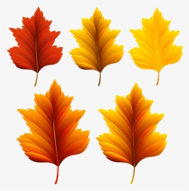 Autumn Leaf Color Clip Art, HD Png Download, Transparent PNG
