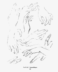 Andrew Loomis Drawing The Head And Hands 132 Clip Arts - Line Art, HD Png Download, Transparent PNG