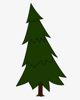 Spruce Tree Clip Art - Tree Clipart Pine, HD Png Download, Transparent PNG