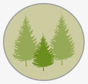Fir Tree Clipart Three Pine - Pine Tree Silhouette Png, Transparent Png, Transparent PNG