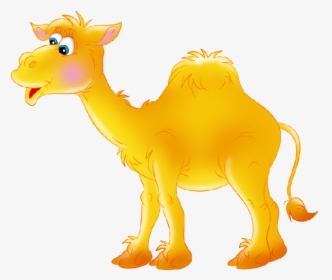 Funny Camel Pictures Clipart - Верблюд На Прозрачном Фоне, HD Png Download, Transparent PNG