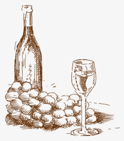 Clip Art Drawings Of Wine Bottles - Wine Grapes Glass Bottle Drawing Png, Transparent Png, Transparent PNG