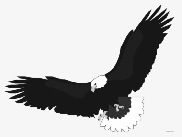 Transparent Bird Outline Png - Clip Art Eagle Flying, Png Download, Transparent PNG