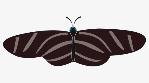 Butterfly, Insect, Animal, Black, White, Zebra Longwing - Zebra Longwing Butterfly, HD Png Download, Transparent PNG