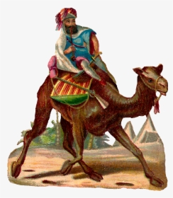 Camel Rider Desert Image - Camel Rider Transparent, HD Png Download, Transparent PNG