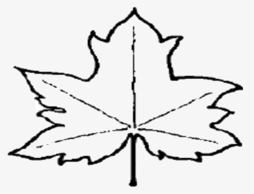 Thumbnail For Version As Of - Out Line Picture Of Leaves, HD Png Download, Transparent PNG