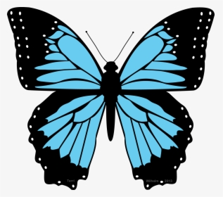 Butterfly Black And Blue Clipart The Cliparts Transparent - Blue Morpho Butterfly Clipart, HD Png Download, Transparent PNG