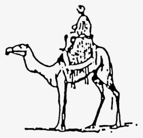Cart Drawing Camel - Camel With Rider Line Art, HD Png Download, Transparent PNG