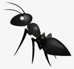 Transparent Ant Clipart - Ant Emoji, HD Png Download, Transparent PNG