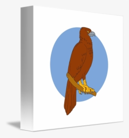 Transparent Eagle Outline Png - Wedge-tailed Eagle, Png Download, Transparent PNG