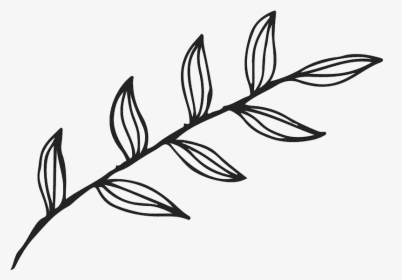 Free: Small Brown Autumn Leaf Drawing - Leaf Drawing Png - nohat.cc