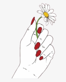 #daisy #flower #red #hand #nails #white #draw #tumblr - Hand Holding Flower Drawing, HD Png Download, Transparent PNG
