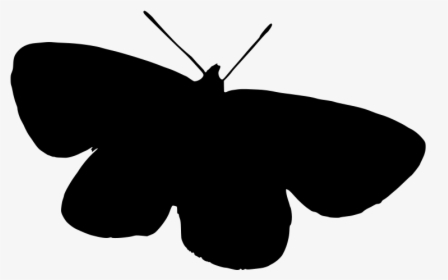 Transparent Butterfly Clipart Png Black And White - Brush-footed Butterfly, Png Download, Transparent PNG