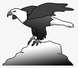 Bald Eagle On A Rock Clipart - Bald Eagle, HD Png Download, Transparent PNG