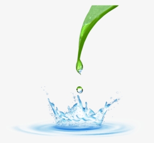 Transparent Water Drop Png - Png Water & Drop, Png Download, Transparent PNG