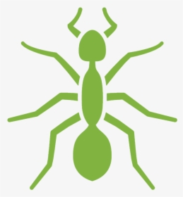 Pest Control Services - Ants Logo, HD Png Download, Transparent PNG