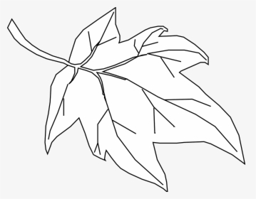 Maple, Leaf, Outline, Tree, Nature - Hoja De Arbol Contorno, HD Png Download, Transparent PNG