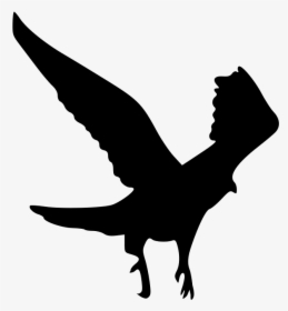 The Outline Of The Eagle - Silhouette Wedge Tail Eagle, HD Png Download, Transparent PNG