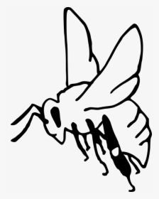 Bee, Pollination, Insect, Garden, Honey, Sting, Outline - Madhumakkhi Clipart Black And White, HD Png Download, Transparent PNG