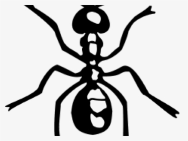 Drawn Ant Simple Clipart , Png Download - Ant Clipart, Transparent Png, Transparent PNG