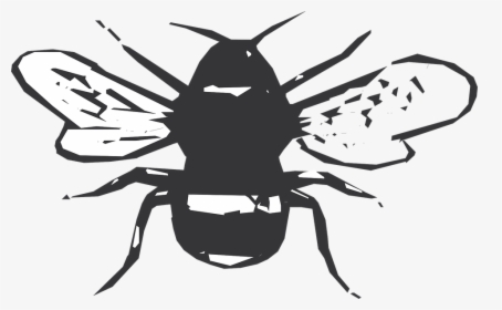 Black, White, Bee, Stripes, Wings, Insect - Birthday, HD Png Download, Transparent PNG