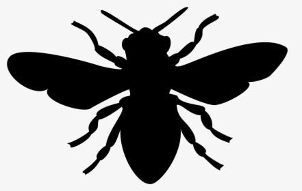 Big Image Png - Bee Image Black And White, Transparent Png, Transparent PNG
