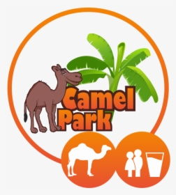 Camel Ride Appetizer, HD Png Download, Transparent PNG