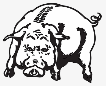 Angry, Pig, Animal, Hog, Piggy, Mammal - Hog Graphics, HD Png Download, Transparent PNG