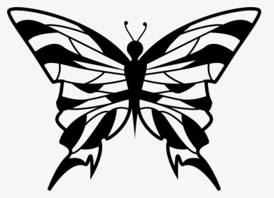 Clip Art Butterfly Top View - Portable Network Graphics, HD Png Download, Transparent PNG