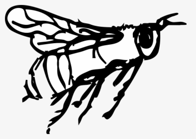 Transparent Bee Outline Png - Black And White Bee Clipart Flying, Png Download, Transparent PNG