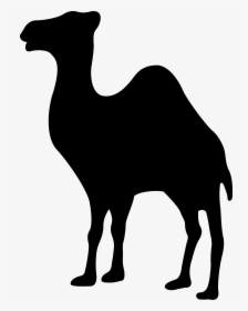 Llama Black Png Clipart - Transparent Camel Logo, Png Download, Transparent PNG