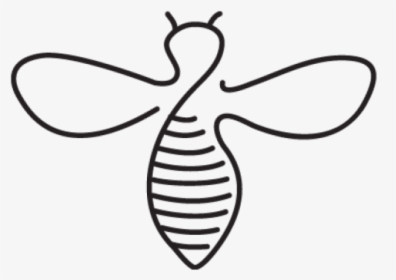 Bee Outline - Clip Art Outline Bee, HD Png Download, Transparent PNG