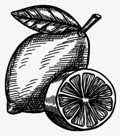 Clip Art, HD Png Download, Transparent PNG