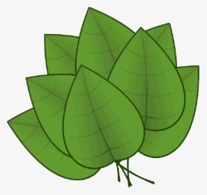 Green, Apple, Fall, Outline, Plants, Leaf, Palm, Tree - Parts Of The Plants Leaf, HD Png Download, Transparent PNG